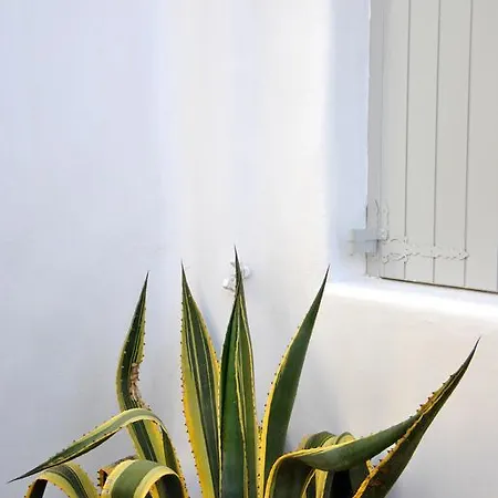 Riva Suites - Adults Only * Mykonos Town