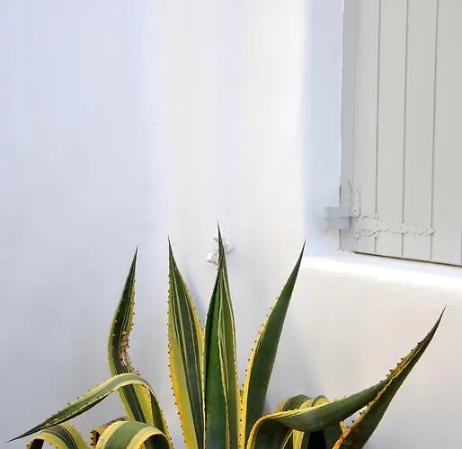 Riva - Adults Only * Mykonos Town